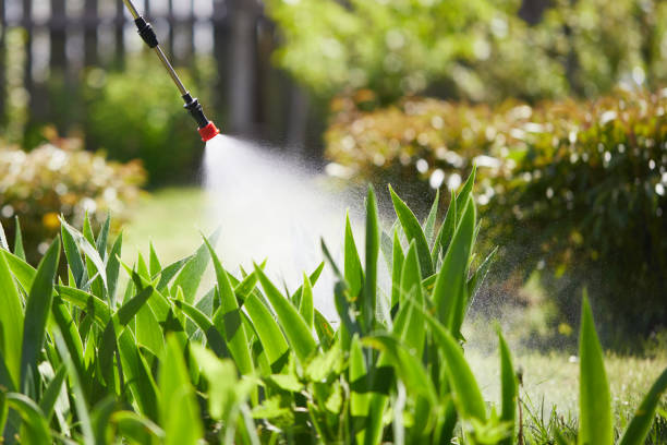 24/7 Emergency Ant Control experts in North Platte, NE