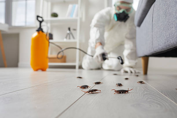 Trusted Cockroach Control service in North Platte, NE - Nex Pest Control