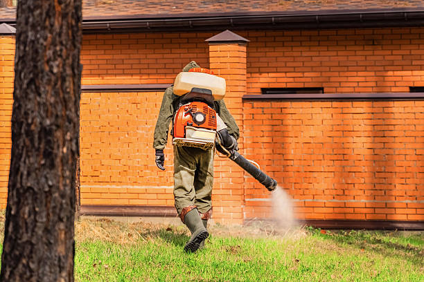 Trusted Rodent Control service in North Platte, NE - Nex Pest Control